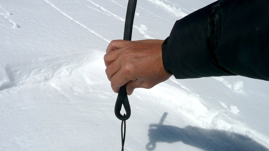 Enlarge image