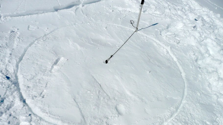 Enlarge image