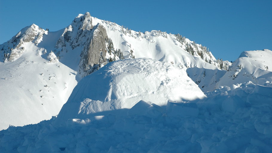 Enlarge image