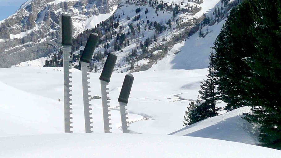 Agrandir l'image