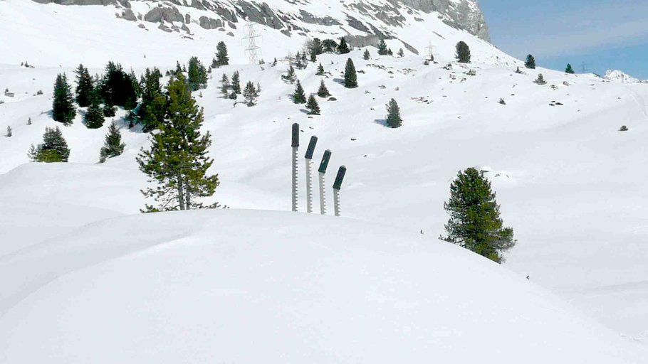 Agrandir l'image